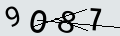 verifycode